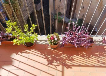 Foto 9 - Bilocale via Saffi
 
54, Viterbo - foto 7
