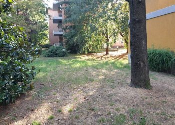 Giardino - Monolocale Stradello Salemi, 3, Parma - foto 26