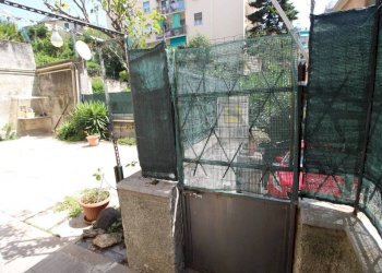 Giardino - Trilocale via Gaspare Murtola, Genova (zona Prà) - foto 23