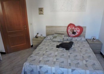 Camera da letto - Appartamento via San Pier d'Arena, 18, Genova (zona Sampierdarena) - foto 15