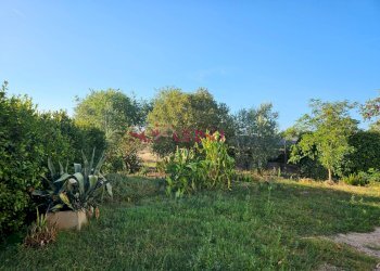 Foto 5 - Rustico Cinigiano - foto 5