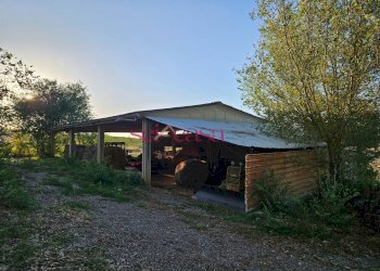 Foto 21 - Rustico Cinigiano - foto 21