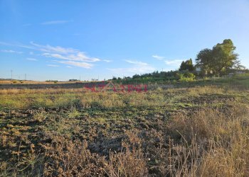 Foto 23 - Rustico Cinigiano - foto 23