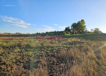 Foto 24 - Rustico Cinigiano - foto 24