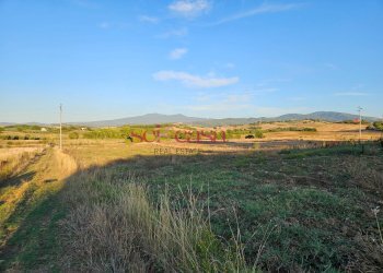 Foto 25 - Rustico Cinigiano - foto 25