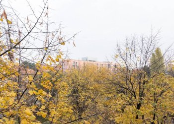 Vista - Trilocale via Pasquale Fornari, 16, Milano - foto 14