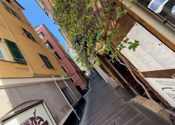 APPARTAMENTO IN LOCAZIONE GENOVA CENTRO CARIGNANO  - Bilocale vico del Fico, Genova - foto 19