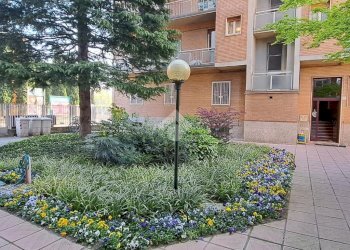 Three-room apartment Via Gramsci, Vimodrone - photo 26