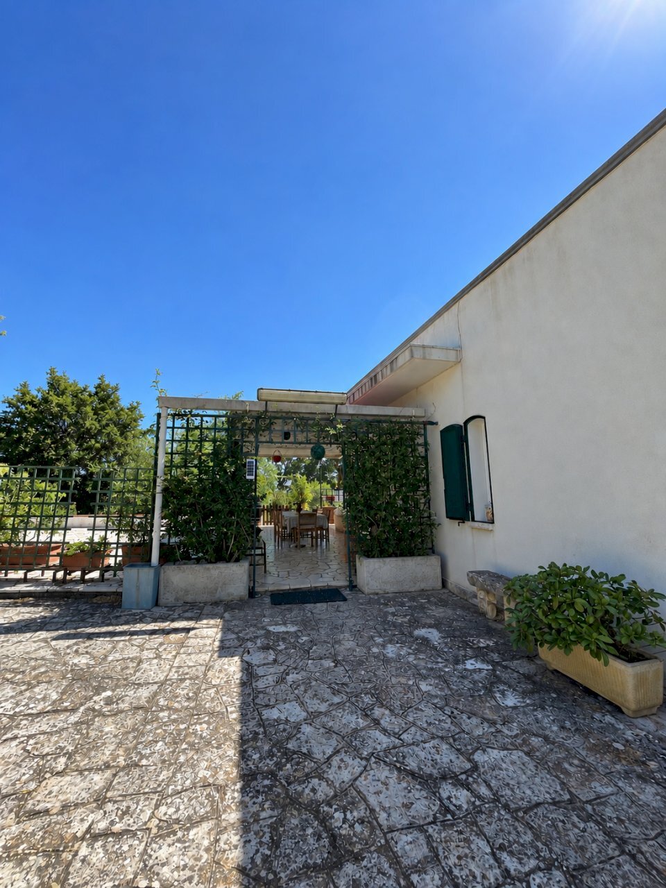 esterno 2 - Villa Contrada Gorgofreddo, Monopoli - foto 3