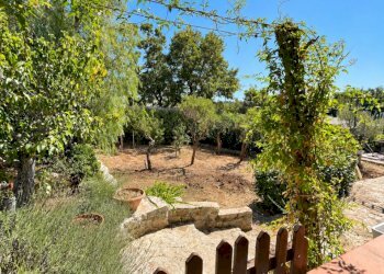 giardino - Villa Contrada Gorgofreddo, Monopoli - foto 30