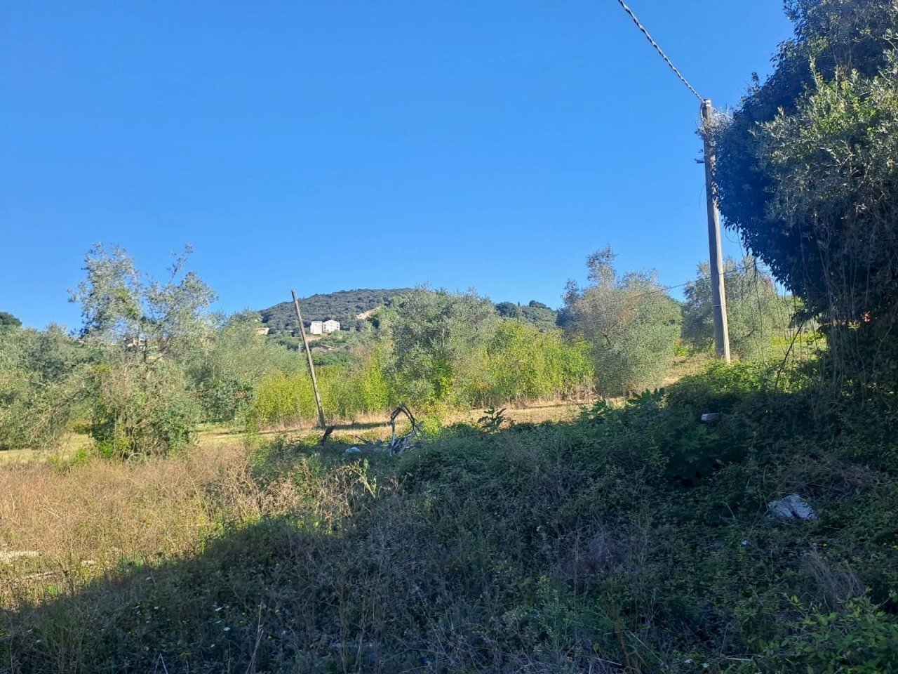 2 - Casa indipendente Strada di Cecanibbio, Amelia - foto 2