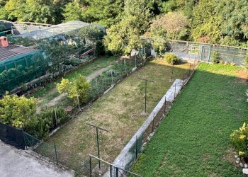 giardino - Appartamento Via Grandi 11, Sarezzo - foto 16