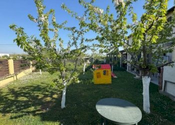 Four-room apartment Bentivoglio - photo 3
