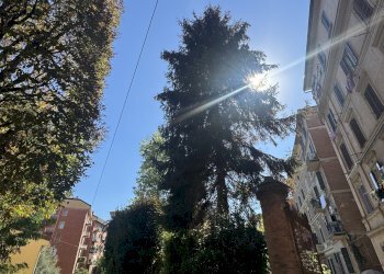 VISTA - Trilocale via Bellombra, Bologna (zona San Mamolo) - foto 12