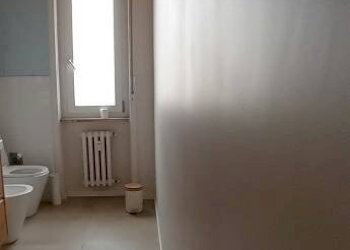 Terreno non edificabile Torino (zona Crocetta) - foto 11
