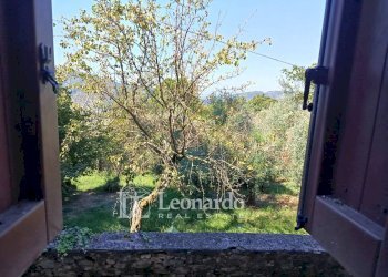 Foto 25 - Casa indipendente Via di Rosi, Camaiore - foto 25