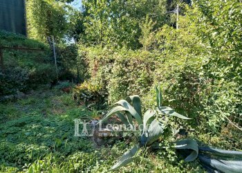 Foto 41 - Casa indipendente Via di Rosi, Camaiore - foto 41