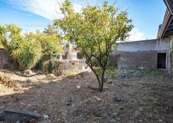 Giardino - Villa Via Governatore
 
12, Viagrande - foto 7