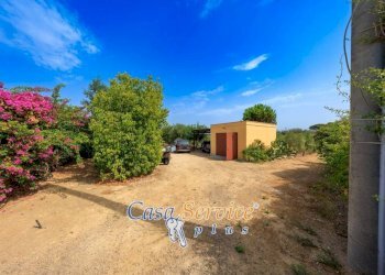 Terreno - Villa SP52, Sannicola - foto 13