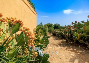 Giardino - Villa SP52, Sannicola - foto 14