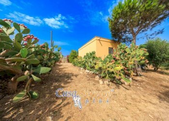 Terreno - Villa SP52, Sannicola - foto 16