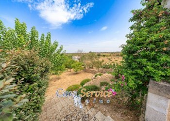 Terreno - Villa SP52, Sannicola - foto 25