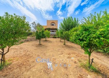 Terreno - Villa SP52, Sannicola - foto 28