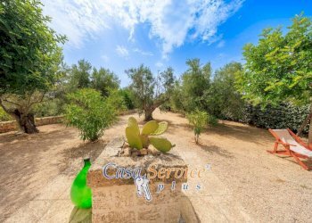 Terreno - Villa SP52, Sannicola - foto 35