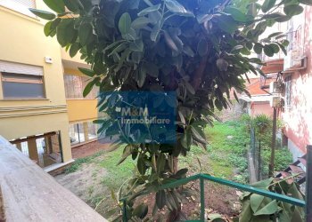 Foto 11 - Appartamento Via Santa Maria
48, Nettuno - foto 11