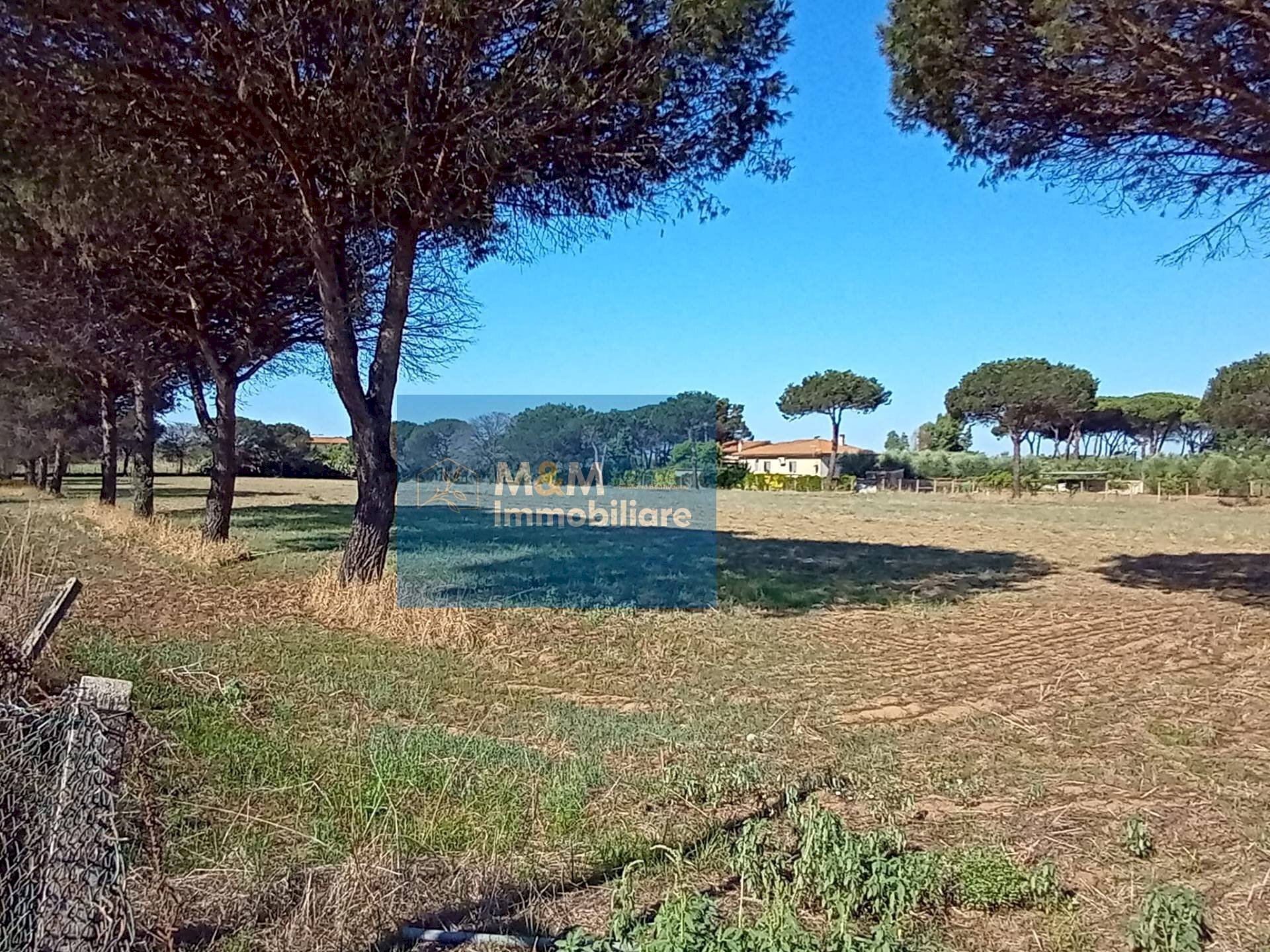 Foto 1 - Terreno agricolo Via Silvio Spaventa
 
121, Nettuno - foto 1
