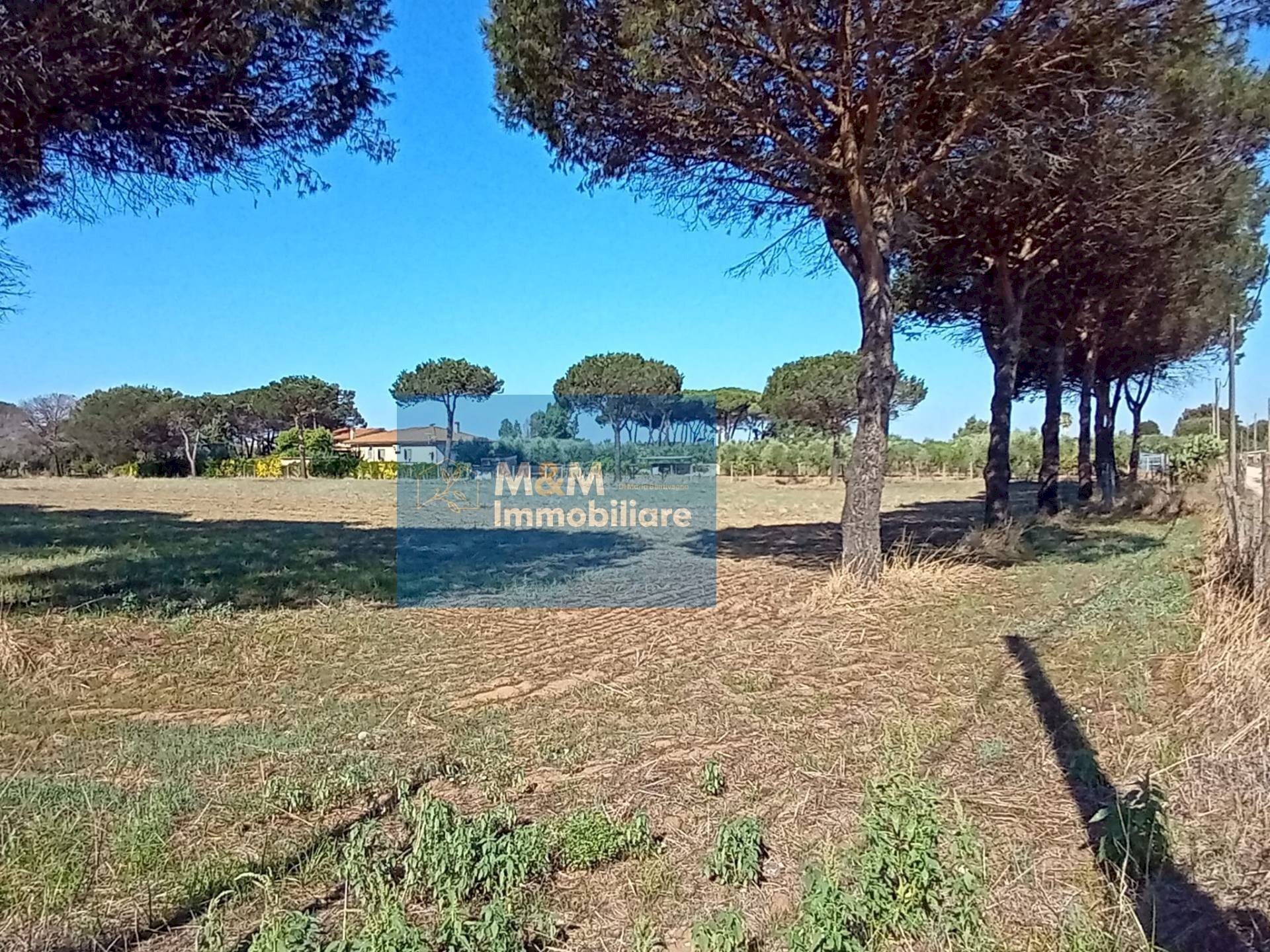 Foto 2 - Terreno agricolo Via Silvio Spaventa
121, Nettuno - foto 2