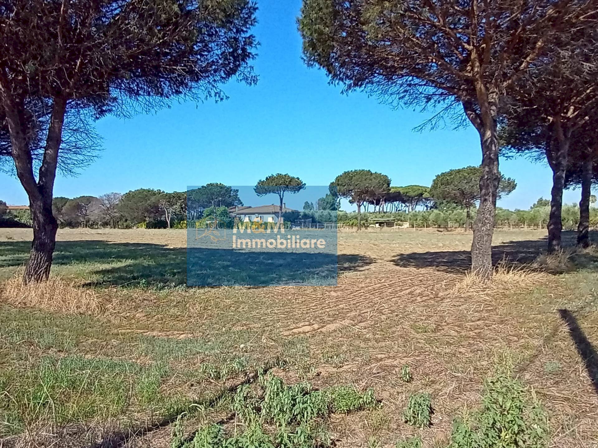 Foto 3 - Terreno agricolo Via Silvio Spaventa
121, Nettuno - foto 3
