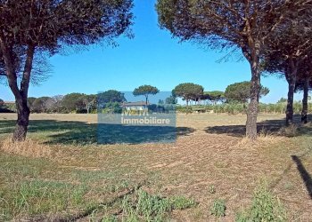 Foto 3 - Terreno agricolo Via Silvio Spaventa
121, Nettuno - foto 3
