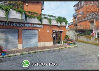 Facciata - Negozio via di Casal Morena, 68, Roma - foto 1