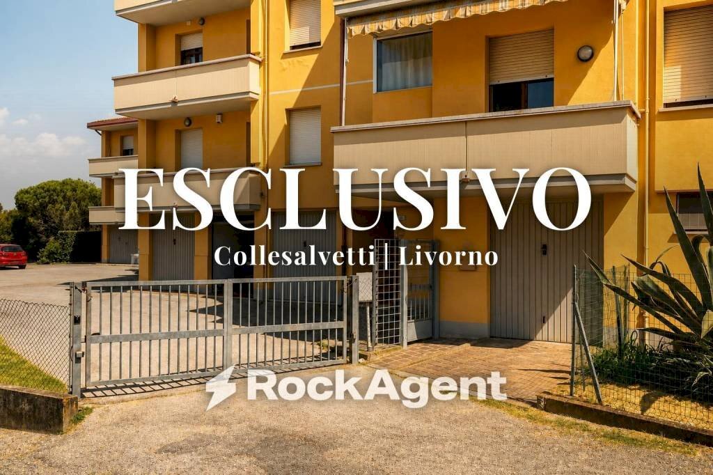 Ingresso - Three-room apartment via Pietro Nenni, 18, Collesalvetti - photo 1