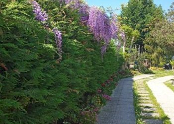 Zona - Villa via Canalazzo, San Giovanni in Persiceto - foto 28