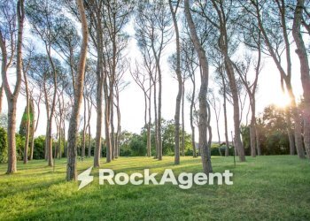 Terreno - Two-room apartment via Cassia, 791, Roma (neighborhood Cassia) - photo 29