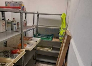 PHOTO-2026-08-31-17-44-38 - Warehouse Via Nuvolone, Taggia - photo 10