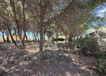 Casa indipendente Marsala - foto 10