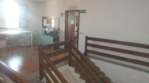Capannone Carpi - foto 1