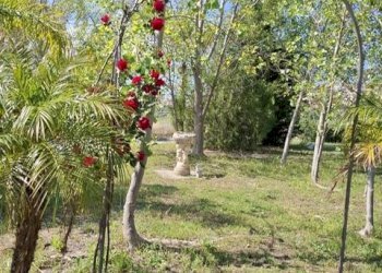 Foto 25 - Villa Via Tucciarella, Furnari - foto 25