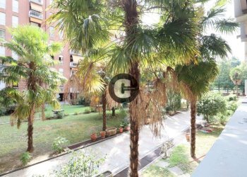 Giardino - Appartamento Lungo Dora Voghera, 98, Torino (zona Vanchiglietta) - foto 3