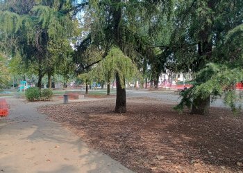Quadrilocale via Tommaso Salvini, 8, Bologna (zona San Donato) - foto 2