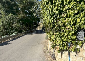Non correlato - Casa semi indipendente Via Stazzone
 
41, Caltanissetta - foto 3