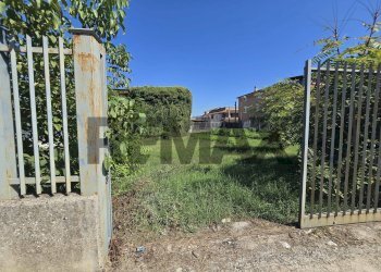 Giardino - Terreno edificabile via Croce
snc, Vairano Patenora - foto 7