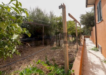 Giardino - Villa Contrada Torre Dantona
 
snc, Modica - foto 14