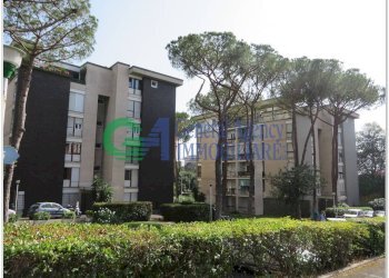 IMG_6681.jpg - Appartamento VIALE DELL'UMANESIMO, Roma (zona EUR) - foto 2