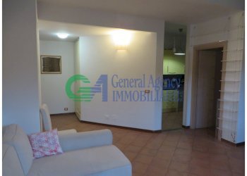 IMG_4537.jpg - Appartamento VIALE DELL'UMANESIMO, Roma (zona EUR) - foto 6