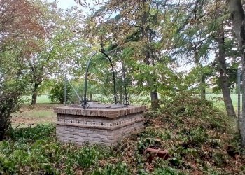 20260811_181031 - Casale Via Goito 150, Modena - photo 9