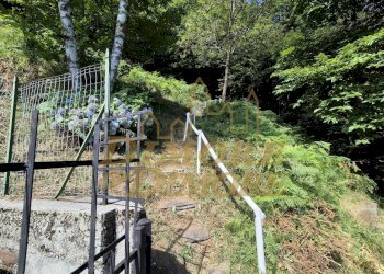 Scala sentiero.jpg - Villa via per Cambiesso, Intragna - photo 7